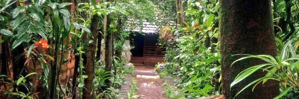 Lpastey Profile Banner