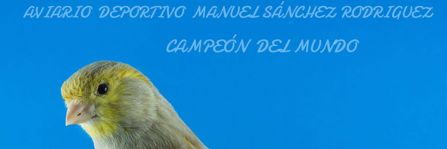 ManuelSR79's profile banner image