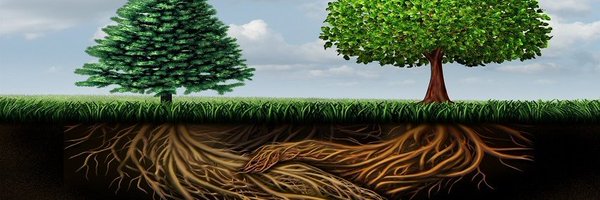 Rasenes_ Profile Banner