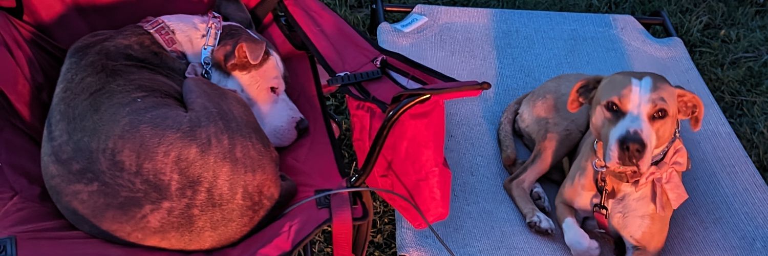 Nellykell32's profile banner image