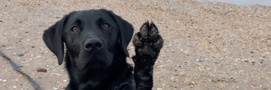 sam banner