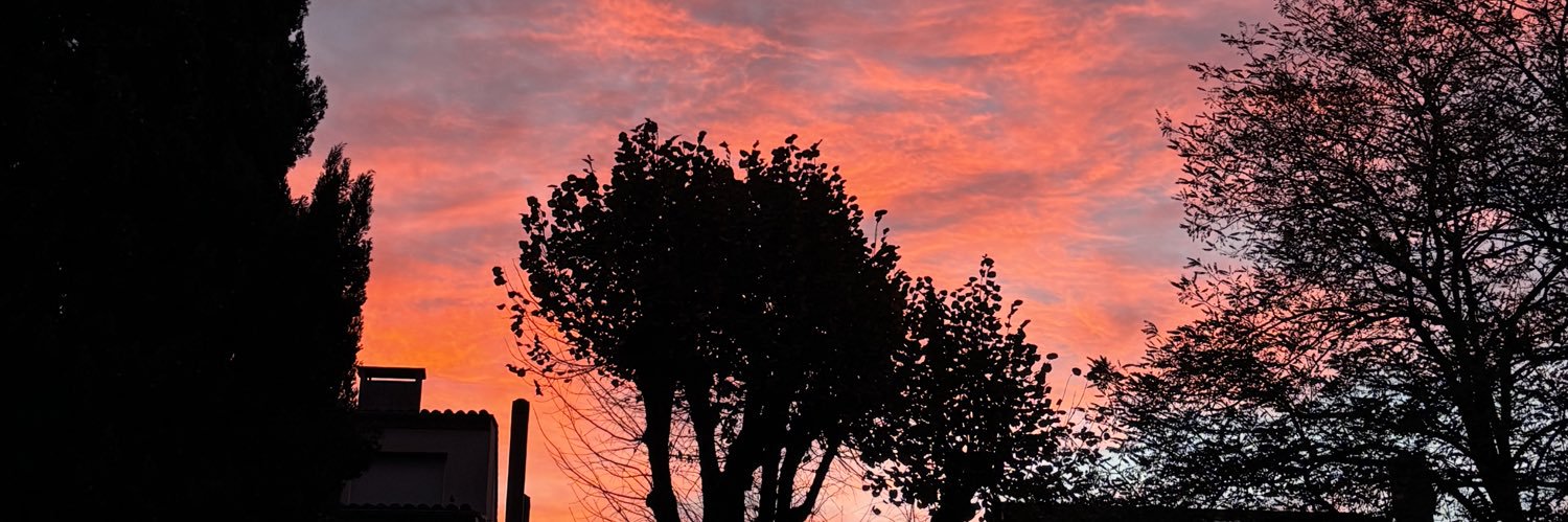 AMELioratioon's profile banner image