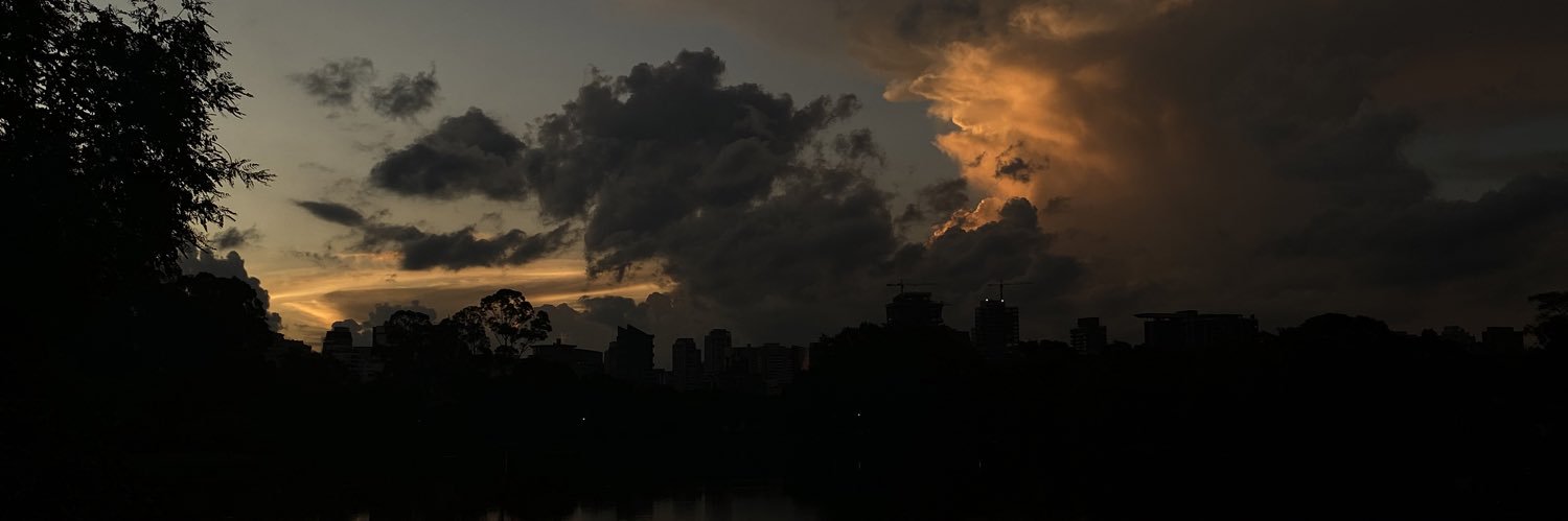 LauraMonteirof_'s profile banner image