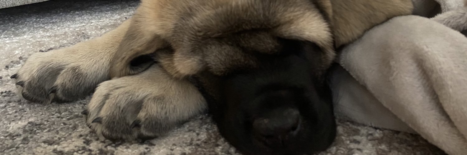 fezzmash's profile banner image