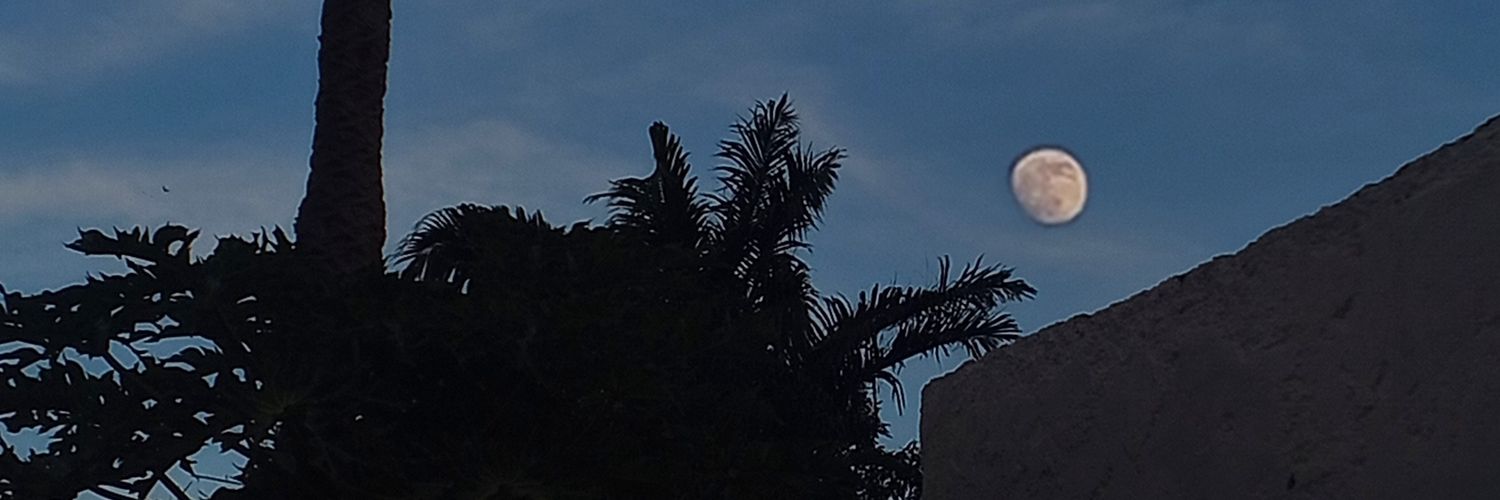XesarRojaz's profile banner image