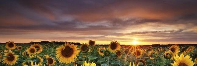 Pretty_Mess_'s profile banner image