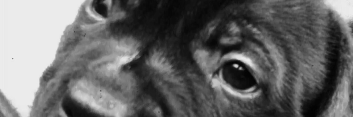 _maiderflores's profile banner image