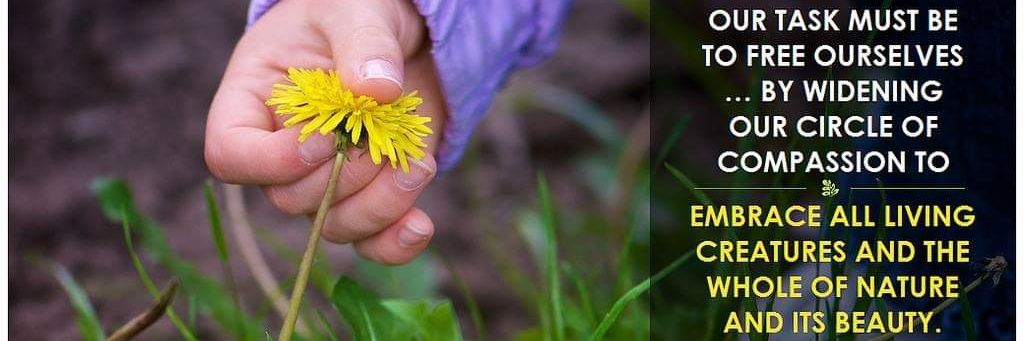 Pete Fillery 🌎 banner