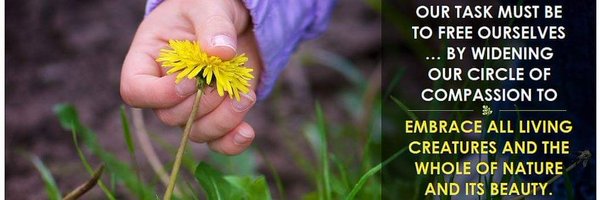 petefillery Profile Banner