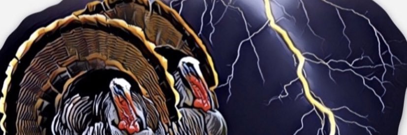 Gusty's profile banner image