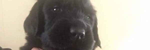 OfficialTwinkey Profile Banner