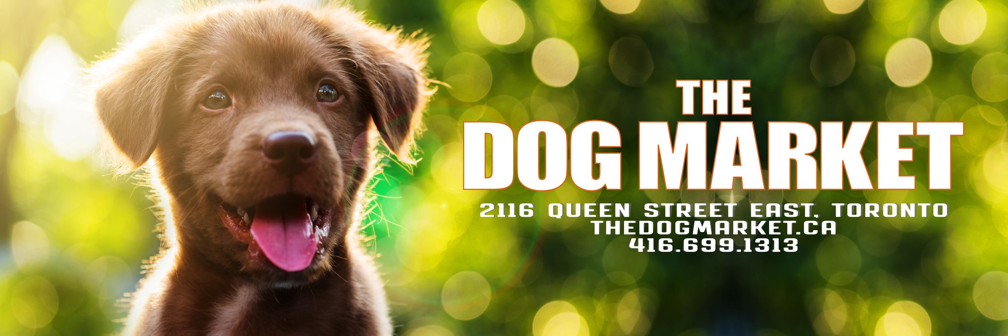 TheDogMarket's profile banner image