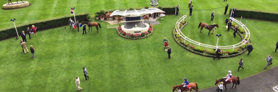 awhitall's profile banner image