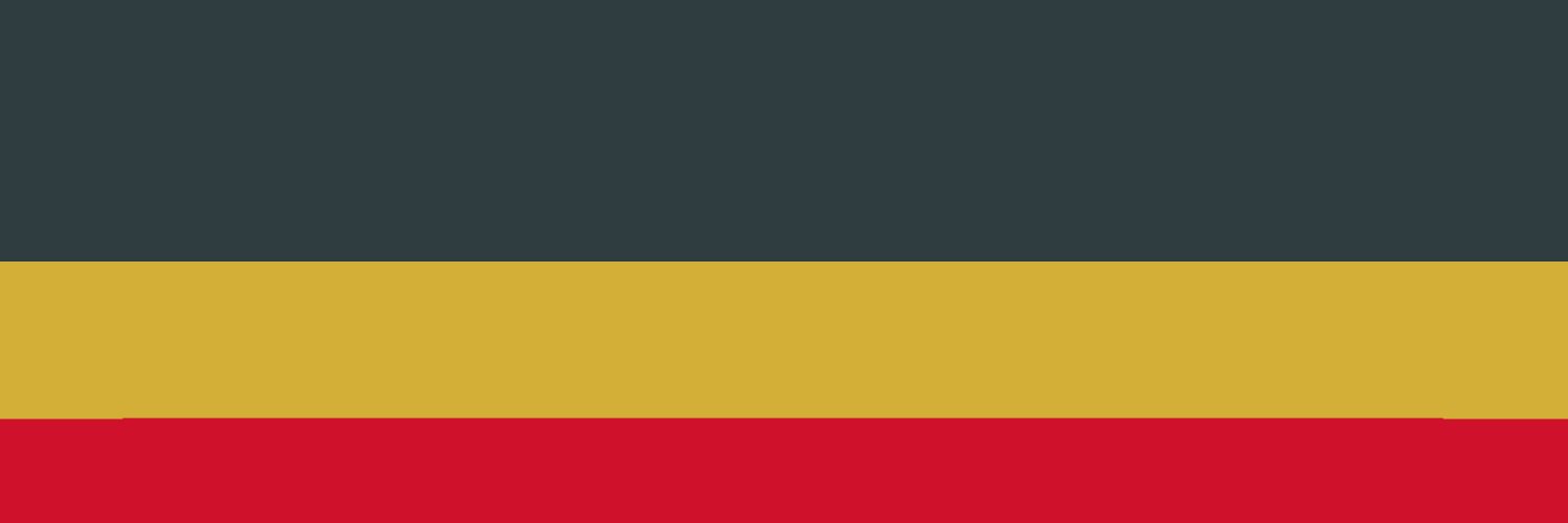 The Ari formerly known as 'D' banner