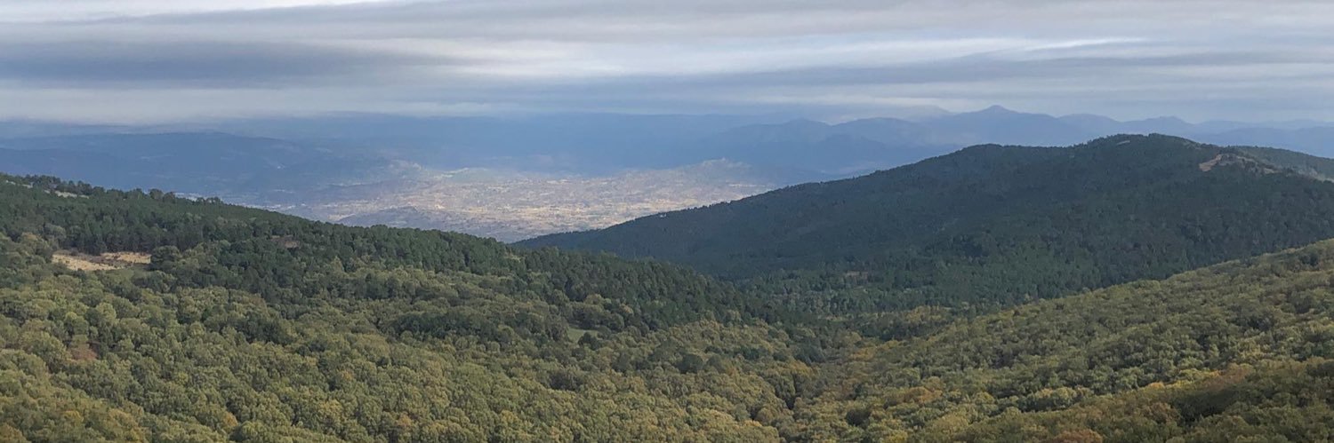 Rubén Benicio Olmedo banner