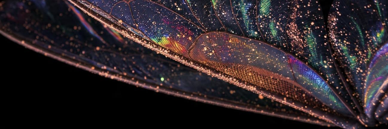 aftenea_'s profile banner image