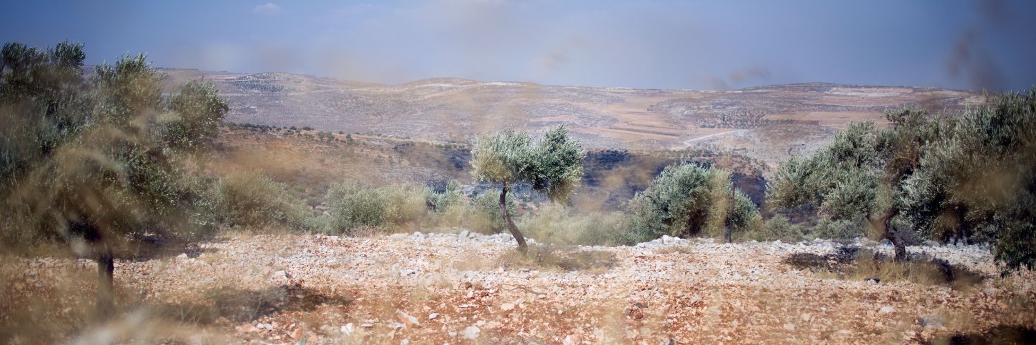 Simon Engelkes banner