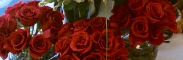 MelissaJ05's profile banner image