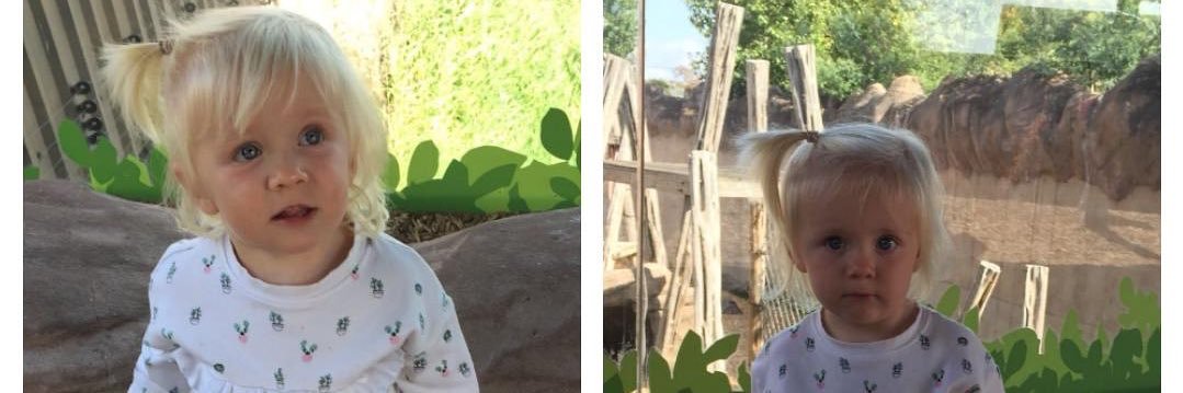 misslmgreen's profile banner image
