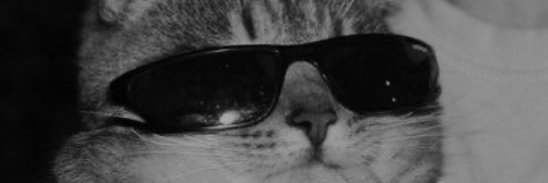 crypto_renz's profile banner image