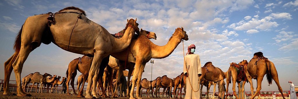 معاذ بن فيصل الحربي banner