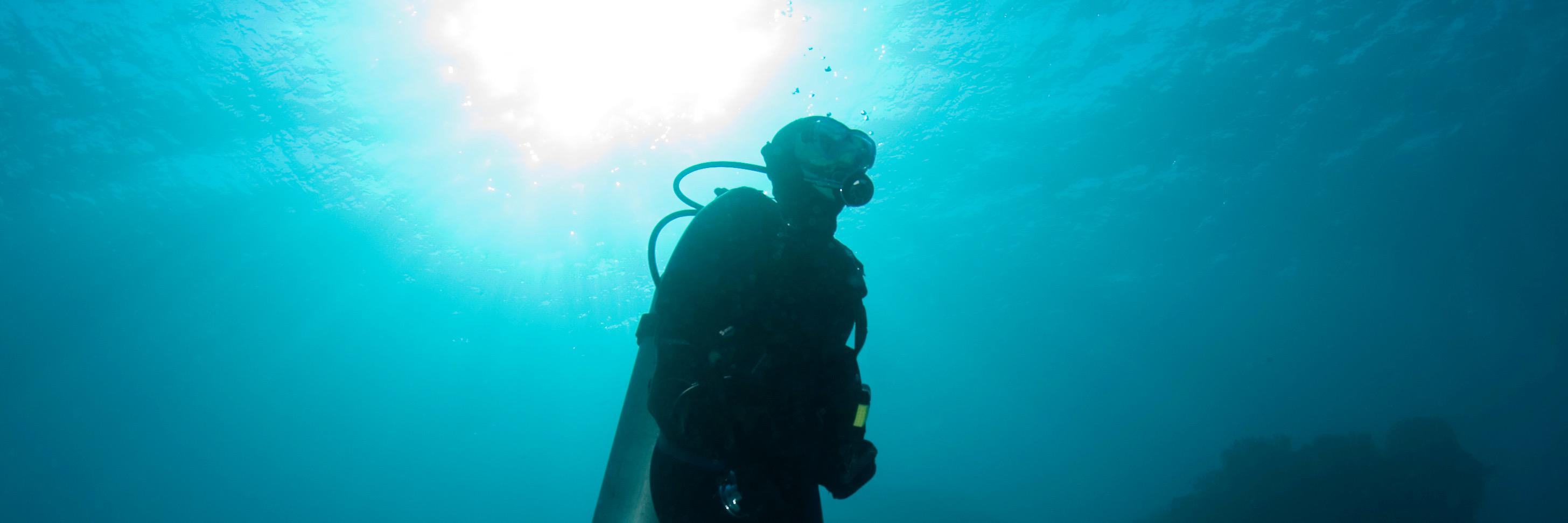 Orca Scuba Diving banner