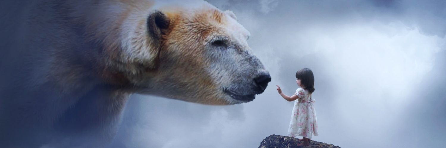 nouchka36's profile banner image