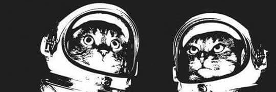 c_1599's profile banner image
