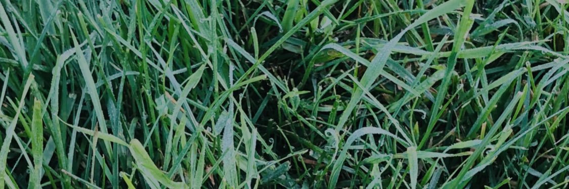 ChelseaElle's profile banner image