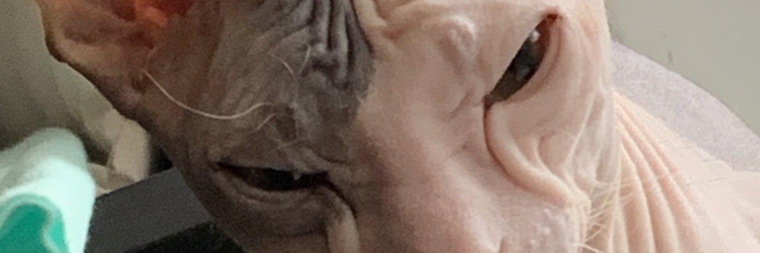 AntonTihonenko's profile banner image