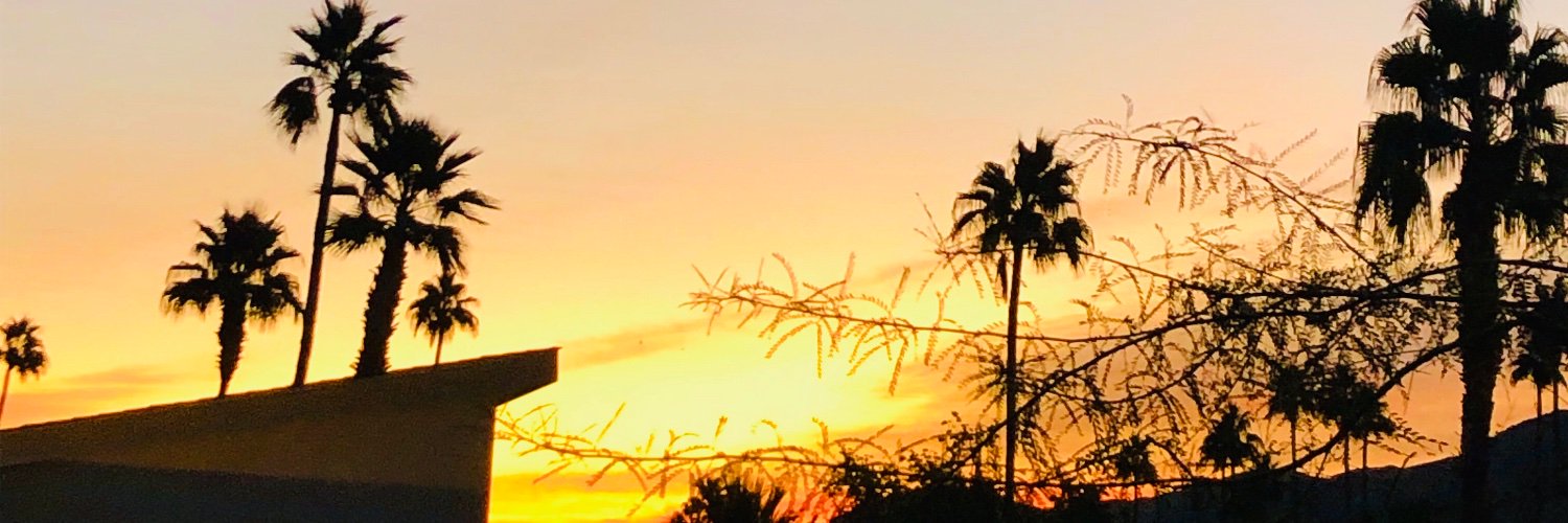 Marci Rosenblum banner