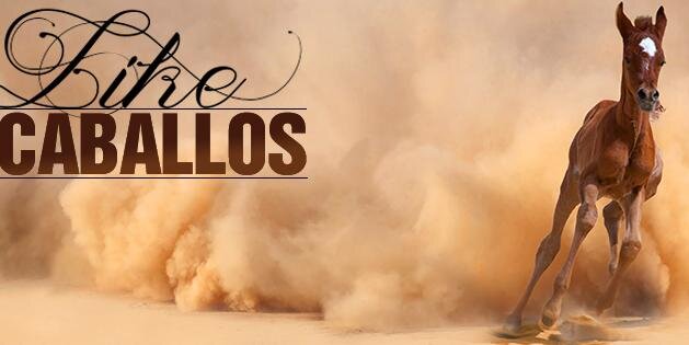 caballoscomco's profile banner image