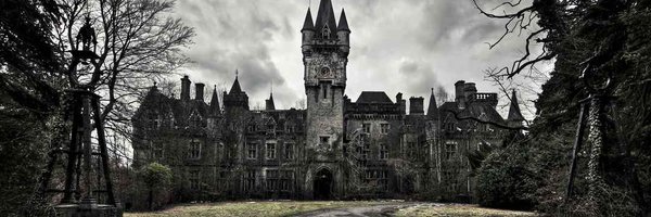 fidafee Profile Banner