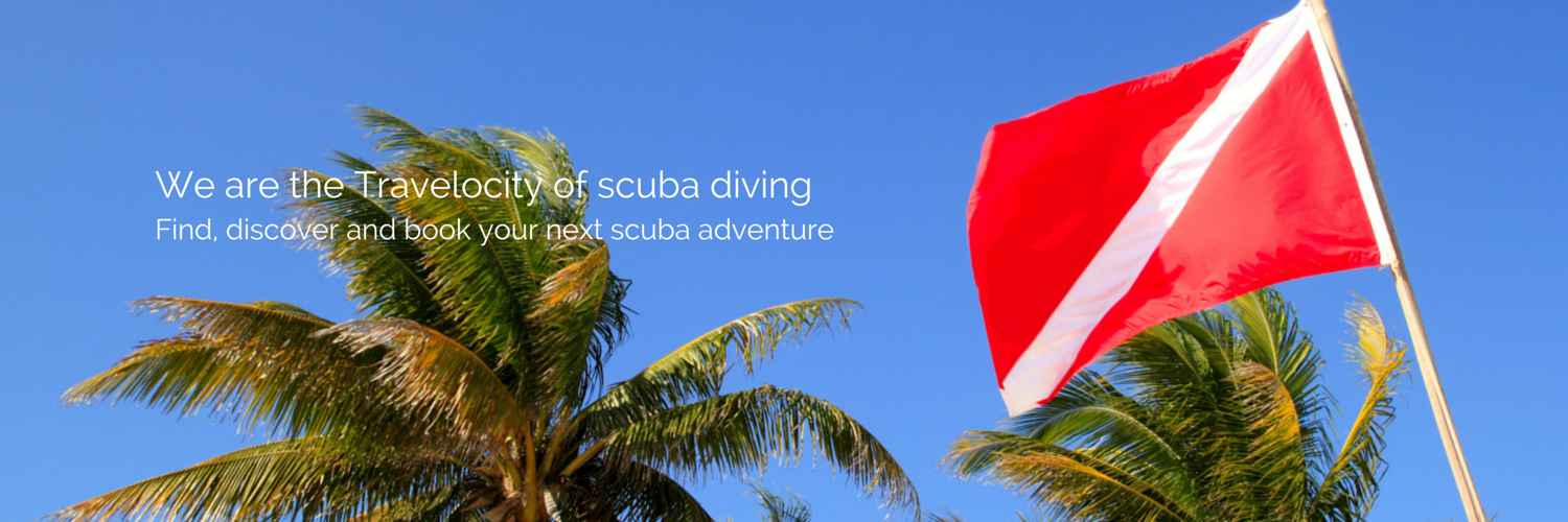 Bookyourdive's profile banner image
