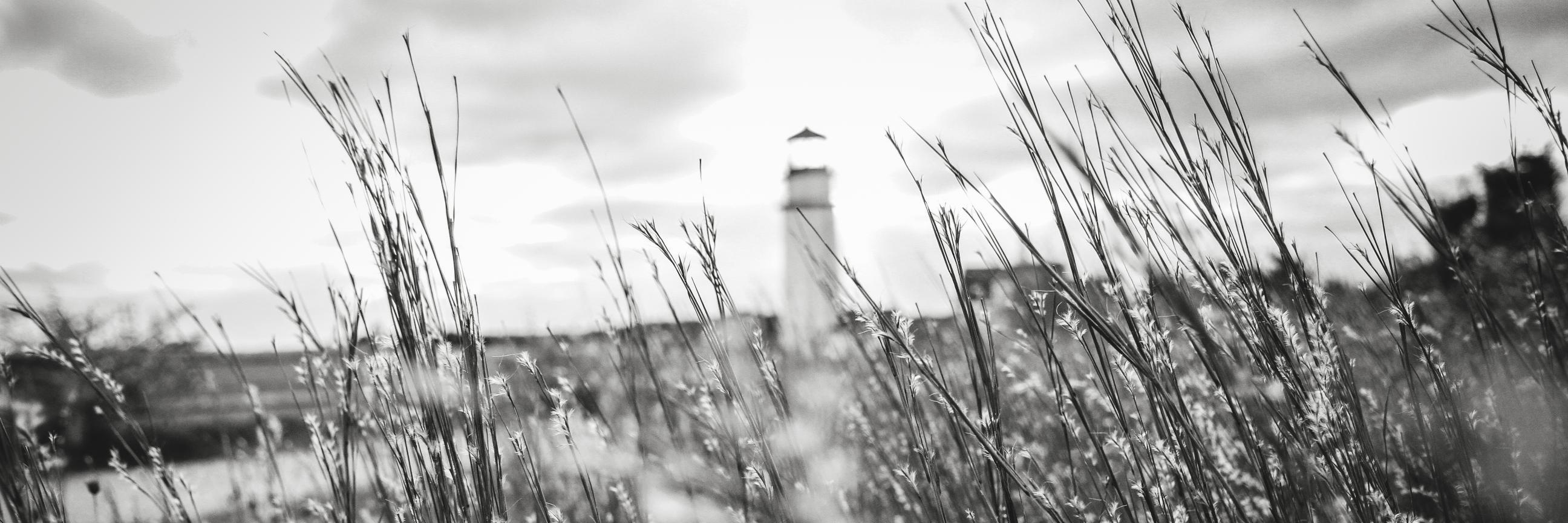 BreeMCox's profile banner image