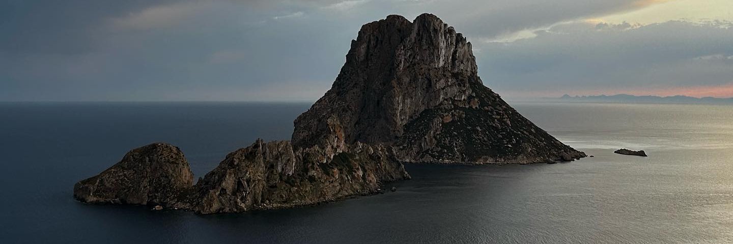 Jan 🌍🍣🍵😎🖖🦌🌲🍃🍍🏝️ banner