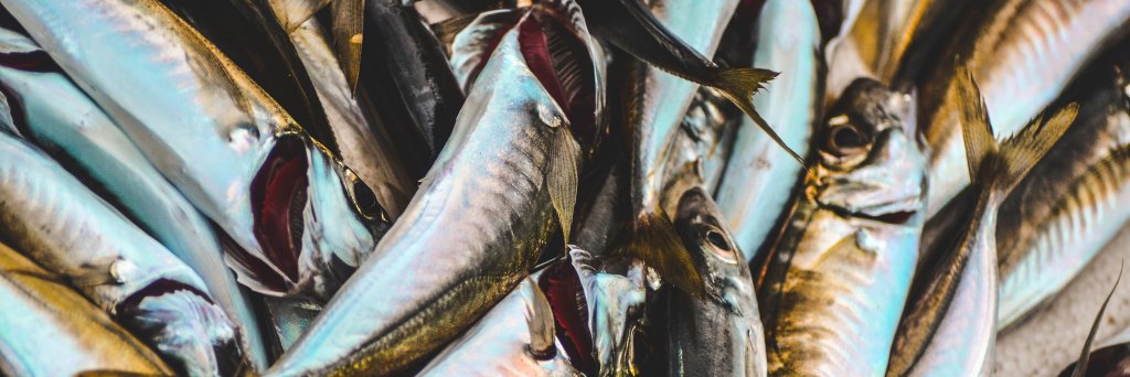 Nereus Program banner