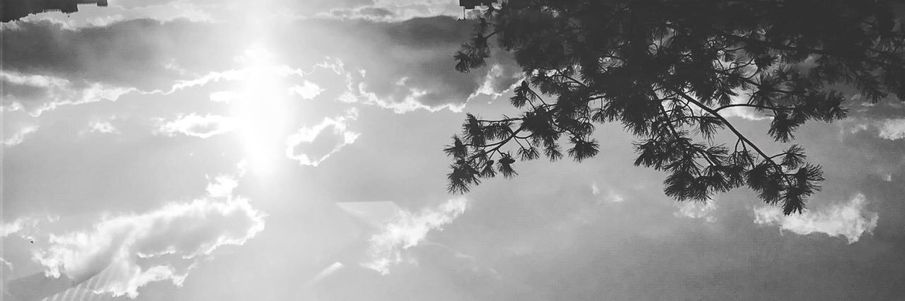 pinhan_'s profile banner image