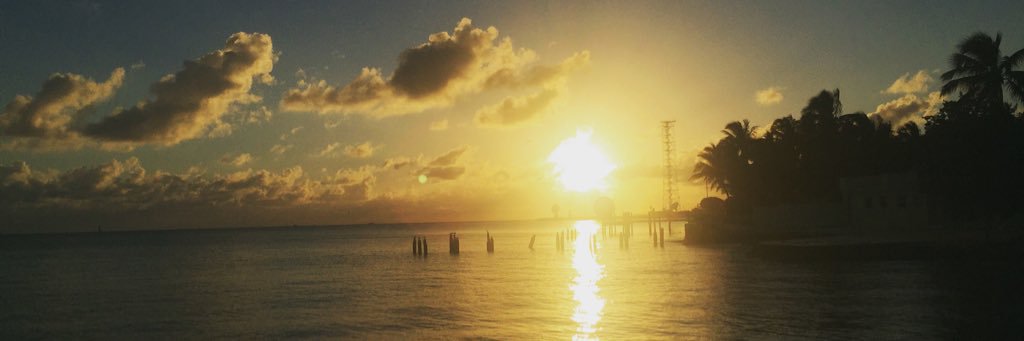 Mel_836's profile banner image