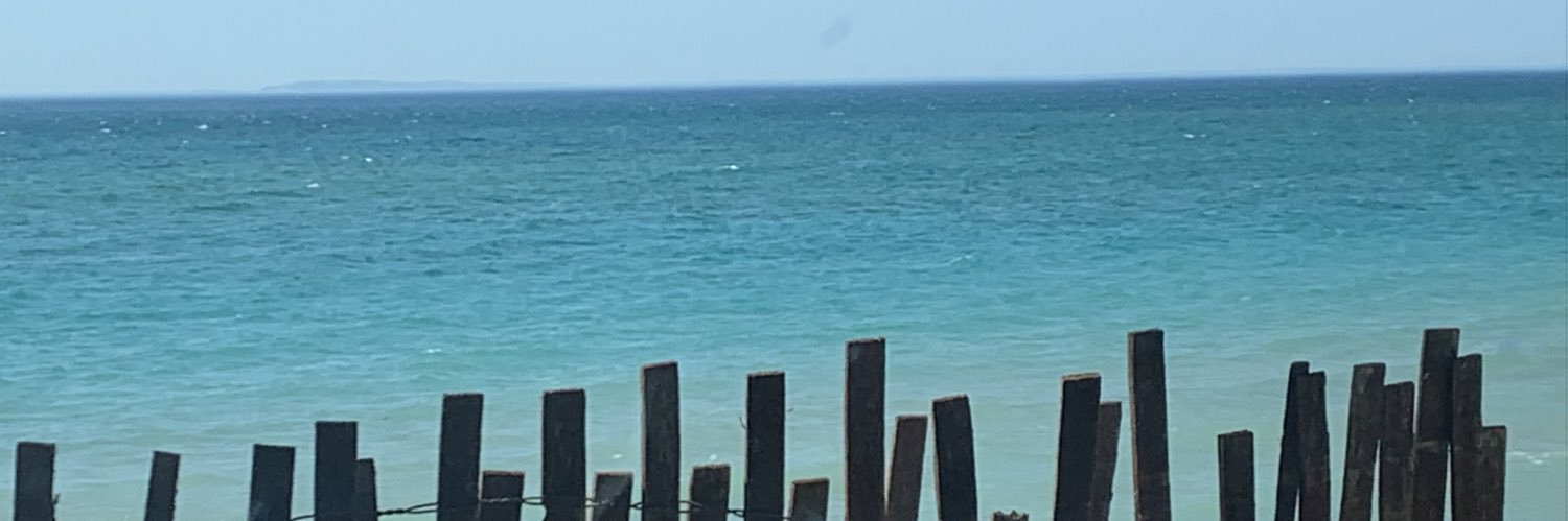 November Champion banner