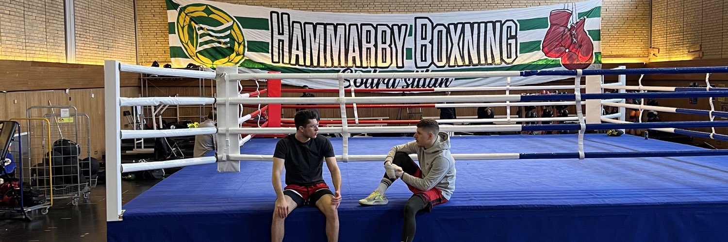 Hammarby IF Boxning banner