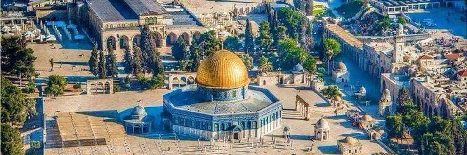 أبو حمزة banner