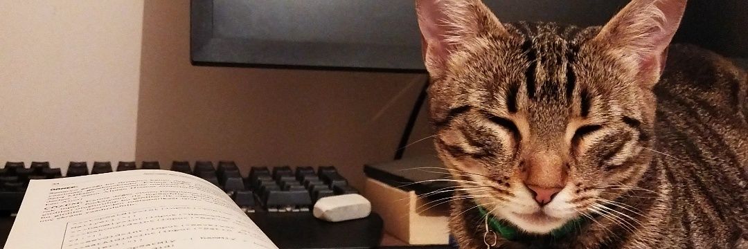 demolishyf's profile banner image