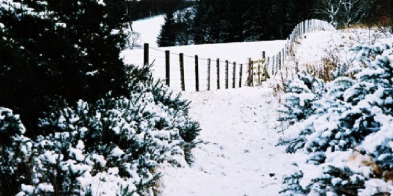 ZoellaSuggSM's profile banner image