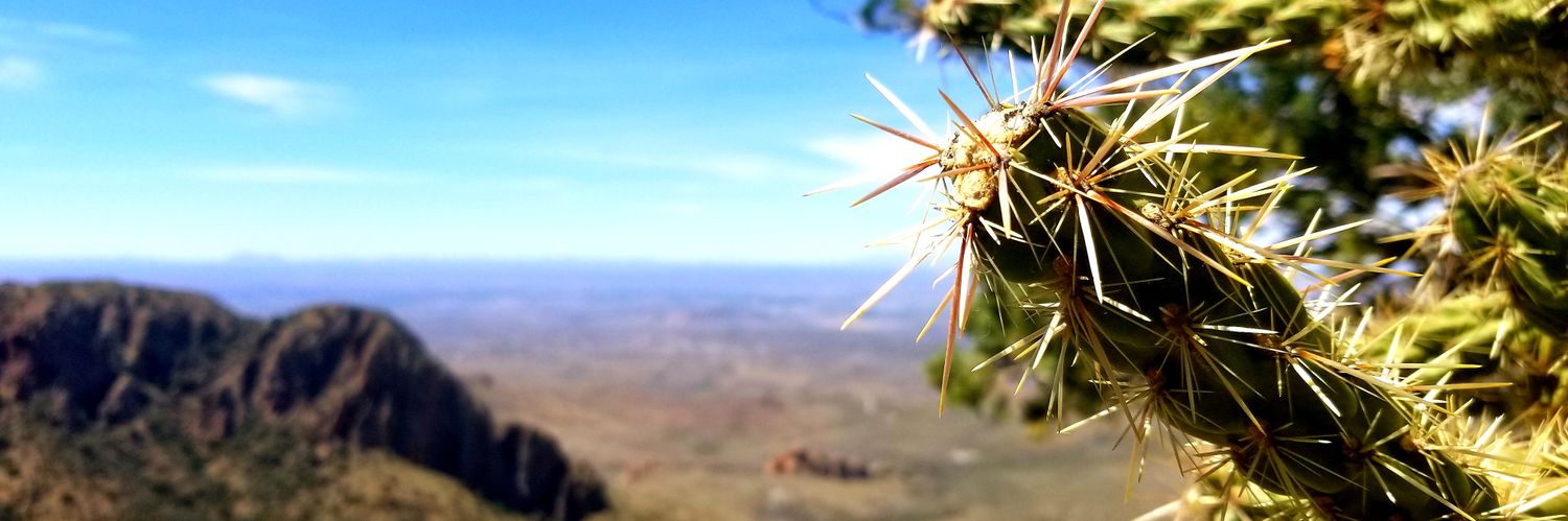 Juan Ogas (he/him) banner