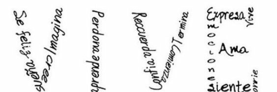 CynthiLanda's profile banner image