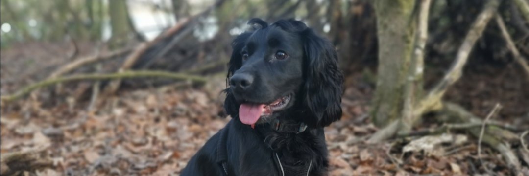 matthewbiddulph's profile banner image