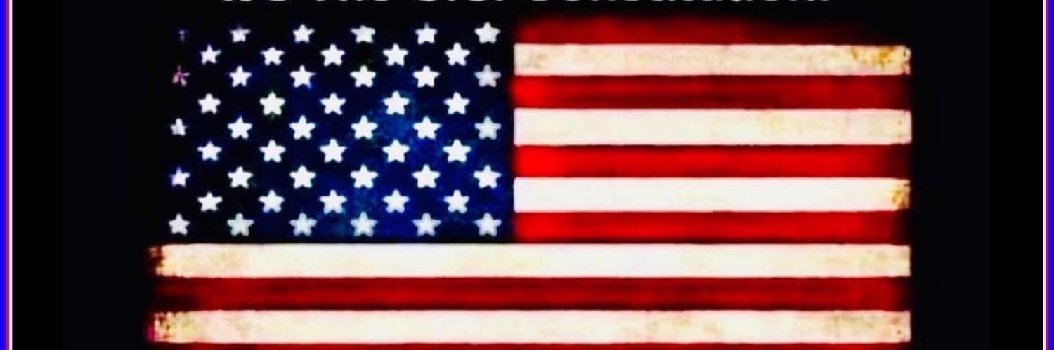 🇺🇸No Woke Zone🇺🇸 banner