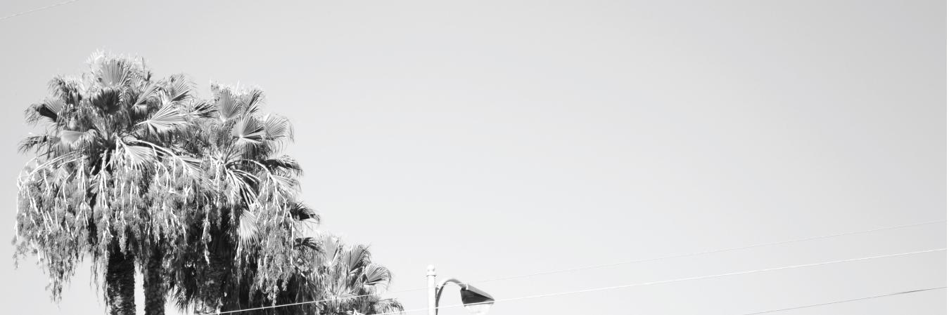 sptclothing's profile banner image