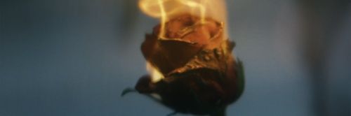 Say_Yeaahh's profile banner image